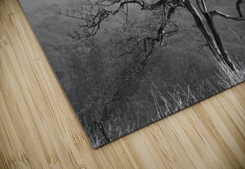 Thinking Tree Franklin Oldham puzzle