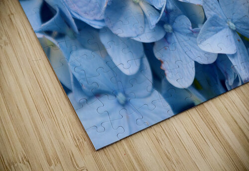 Carolina Blue Franklin Oldham puzzle