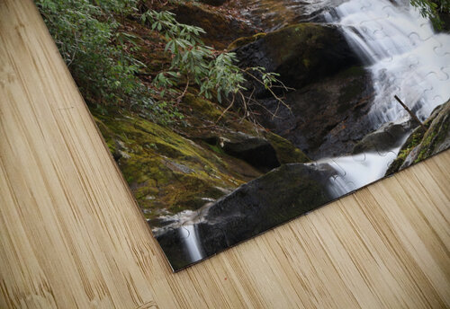 Roaring Fork Falls Franklin Oldham puzzle