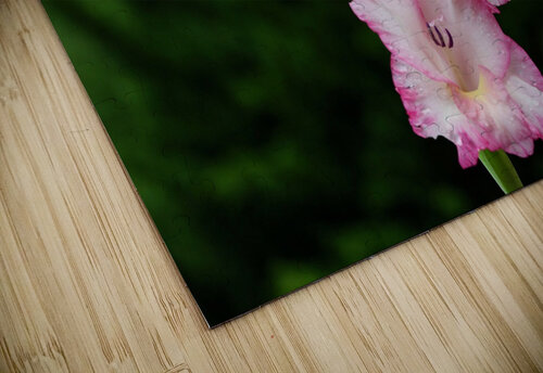Perfect Pink Franklin Oldham puzzle