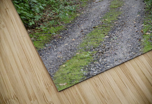 Summer Road Franklin Oldham puzzle