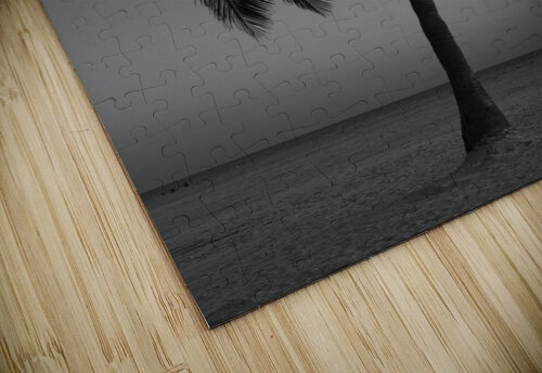 Lonely Palm Franklin Oldham puzzle
