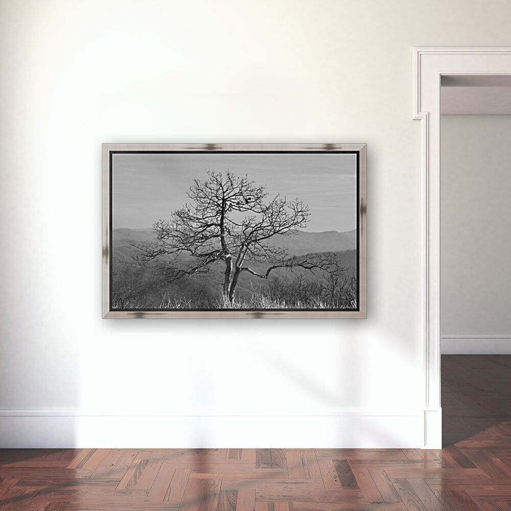 Thinking Tree Reproduction