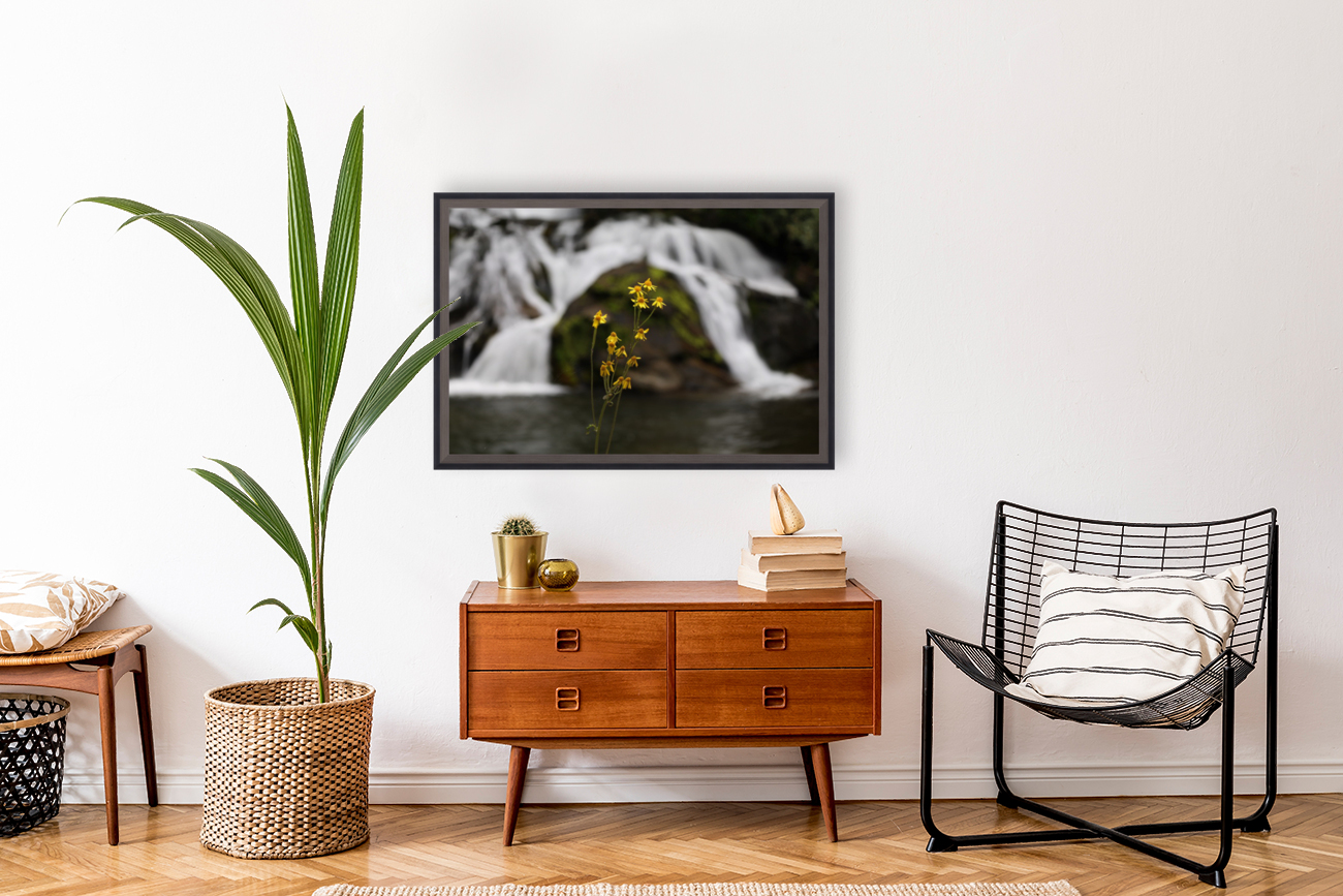 Flowers and Falls Reproduction