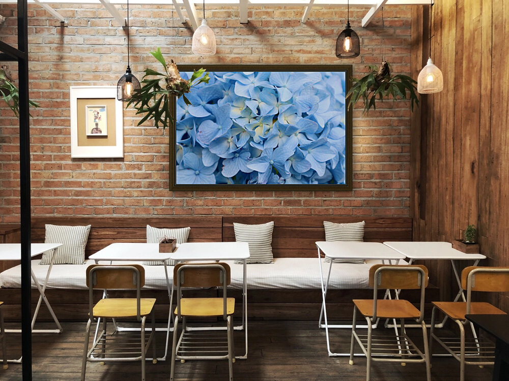Carolina Blue Reproduction