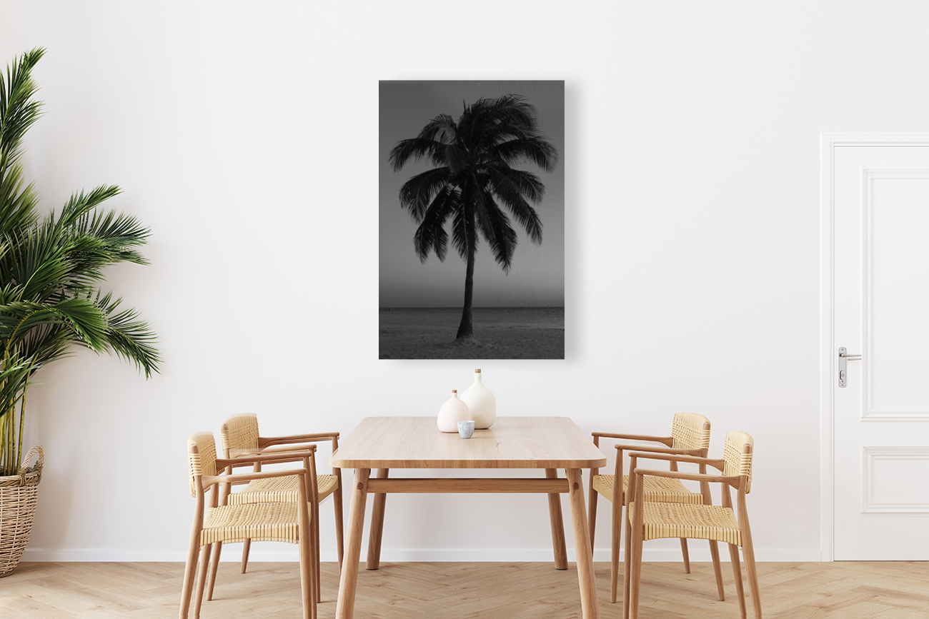 Lonely Palm Reproduction