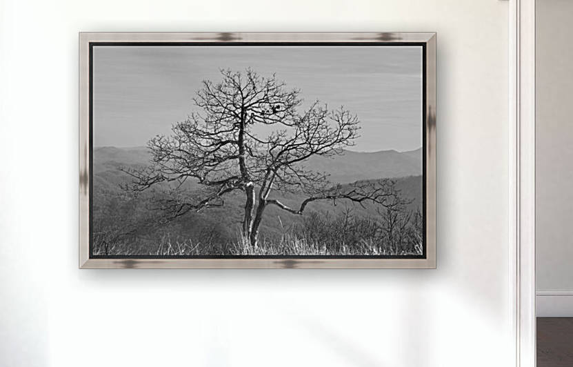 Thinking Tree Reproduction