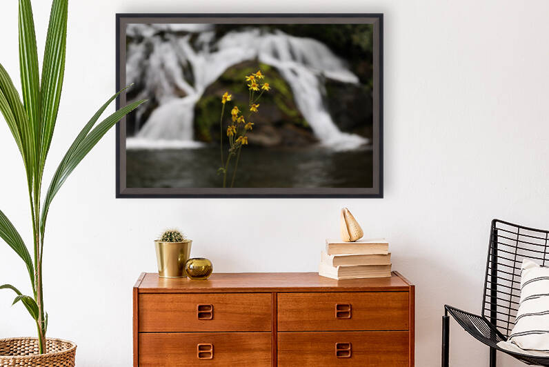 Flowers and Falls Reproduction