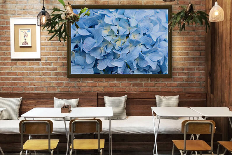 Carolina Blue Reproduction