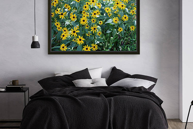 Black Eyed Susans by Franklin Oldham