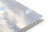 Beauty Spot HD Metal print