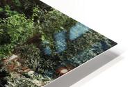 Falls on 19W HD Metal print