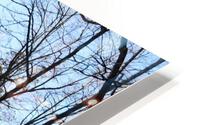 Winter Mountain Roads HD Metal print