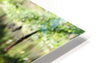 Swamp Reflections HD Metal print