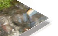 River Reflection HD Metal print