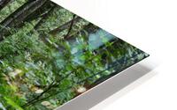 Summer Road HD Metal print