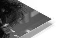 Lonely Palm HD Metal print