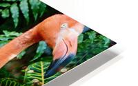 Super Flamingo HD Metal print