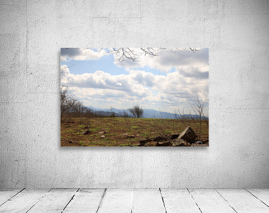 Beauty Spot Wall Preview
