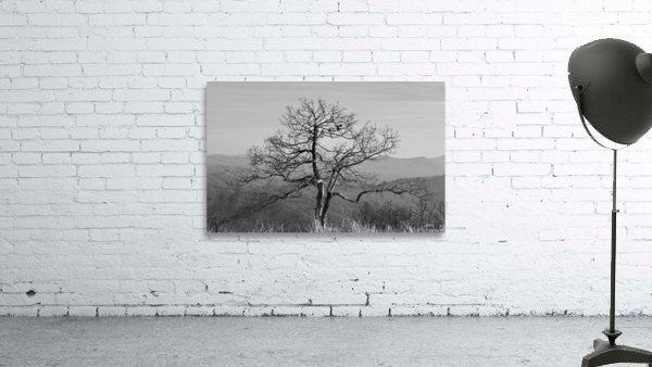 Thinking Tree Wall Preview