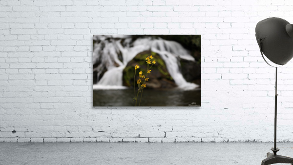 Flowers and Falls Wall Preview