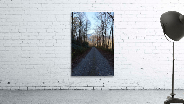 Winter Mountain Roads Wall Preview