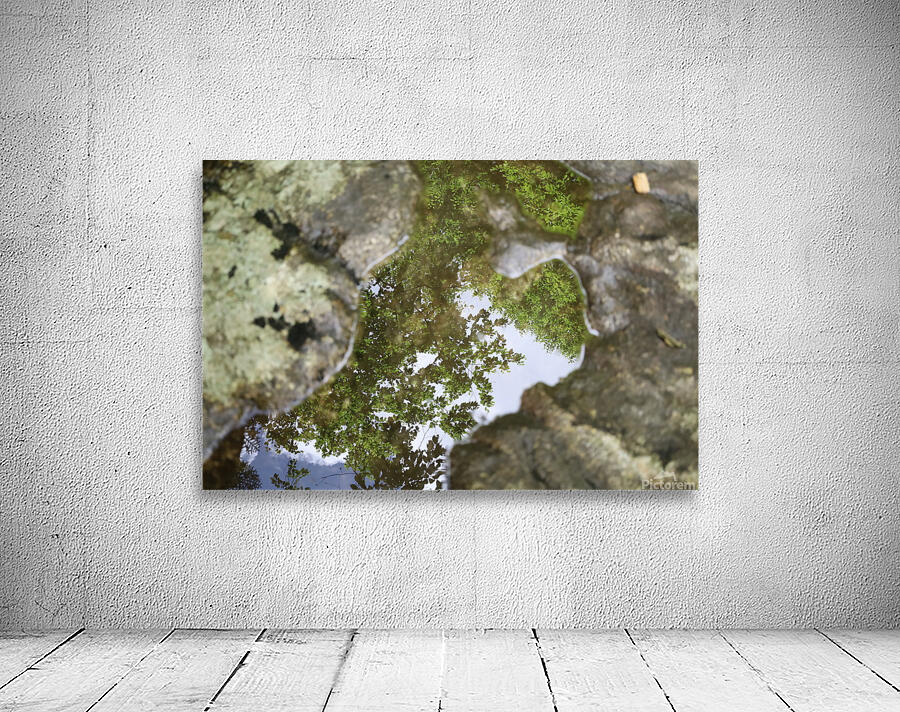 River Reflection Wall Preview