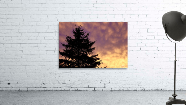 Morning Sky Wall Preview