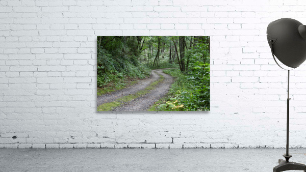 Summer Road Wall Preview
