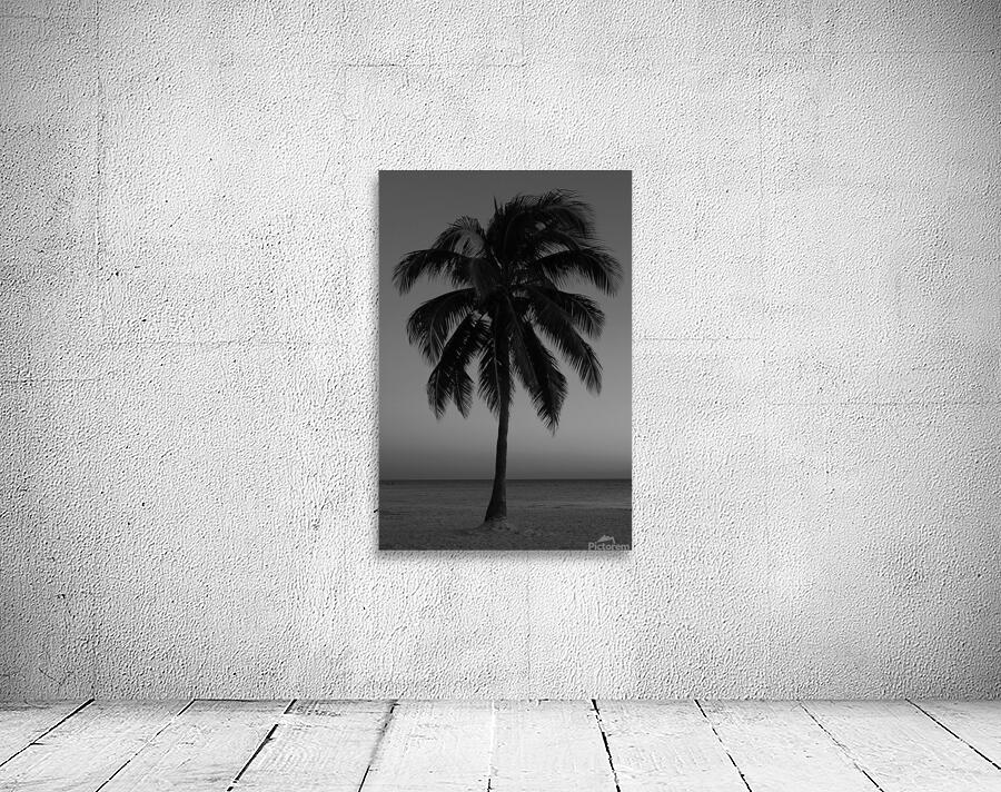 Lonely Palm Wall Preview