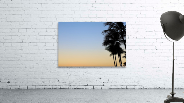 Palms Watching Sunset Wall Preview