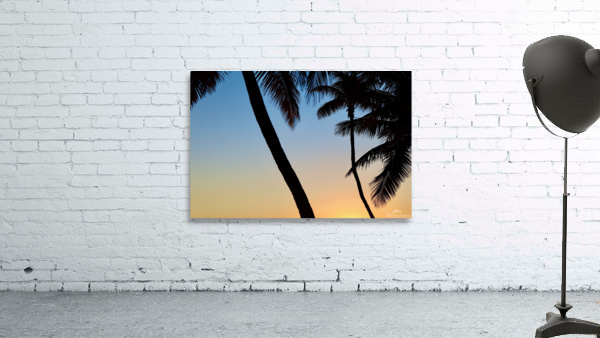 Miami Vice Sunset Wall Preview