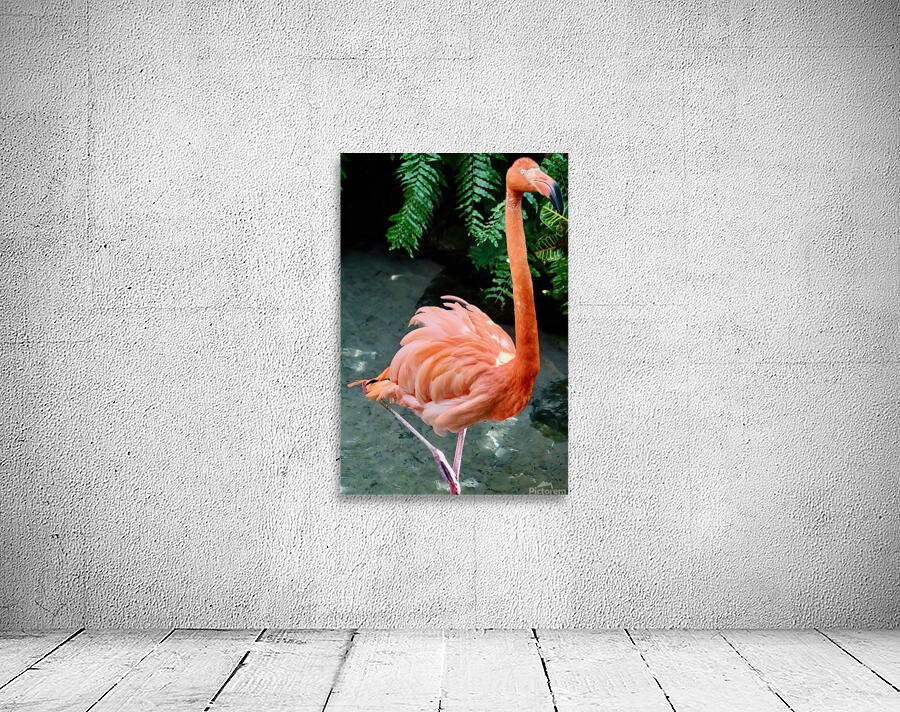 Super Flamingo Wall Preview