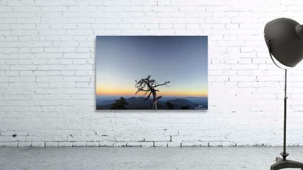 A Lonely Sunset Wall Preview