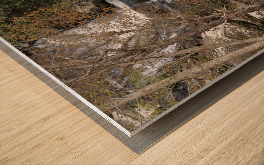 Carolina Water Wood print