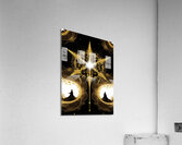 The Sage  Acrylic Print