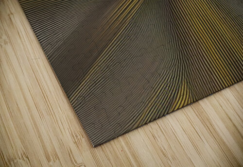 Generative Line Art ~3 Nancy A Mechrek puzzle