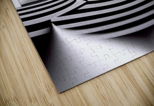 Optical Illusion ~3 Nancy A Mechrek puzzle