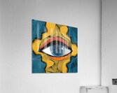 THEEYES HAVE IT Acrylic Print