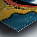 THEEYES HAVE IT Metal print