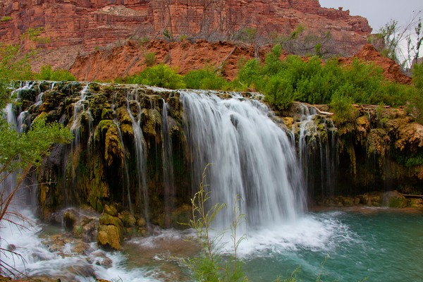  havasu falls 9877 Digital Download