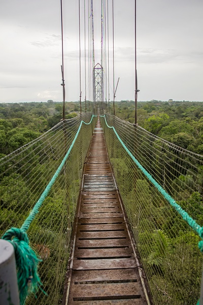 Ecuador 9 0813 Digital Download