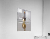 Tri colored Heron 3060 Acrylic Print