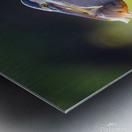 Great Blue Heron 2670 Metal print