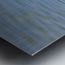 Reddish Egret 3351 Metal print