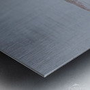 Yellow crowned Night Heron 4831 Metal print