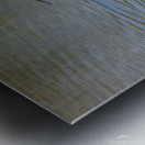 American Avocet 1828 Metal print