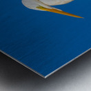 Great Egret 1067 Metal print