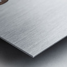 Osprey 1146 Metal print