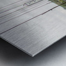 Ecuador 9 0813 Metal print